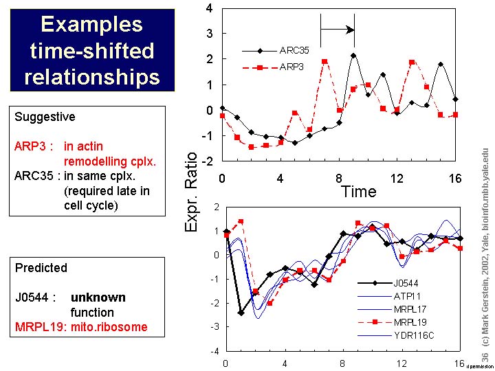 Slide36