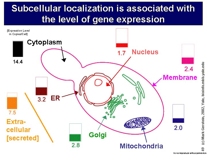 Slide49