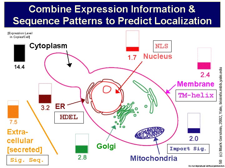 Slide50