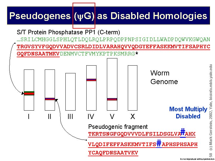 Slide58