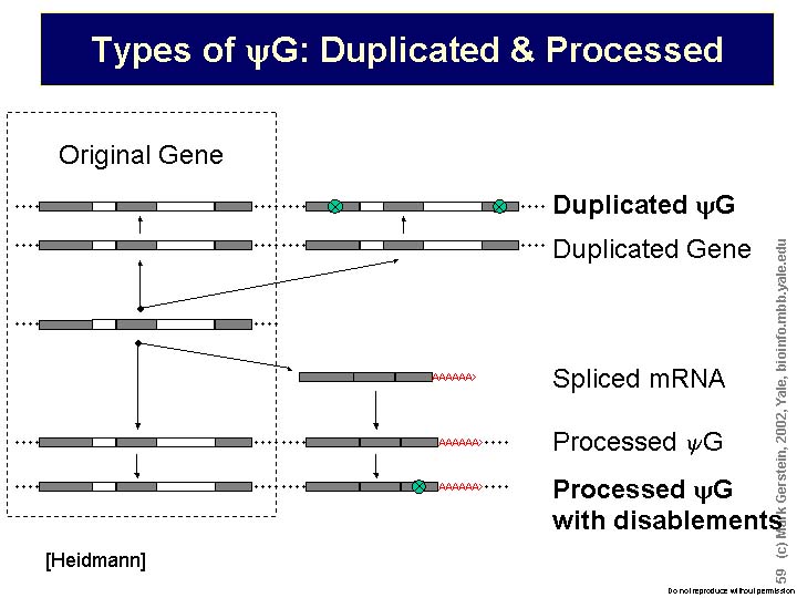 Slide59