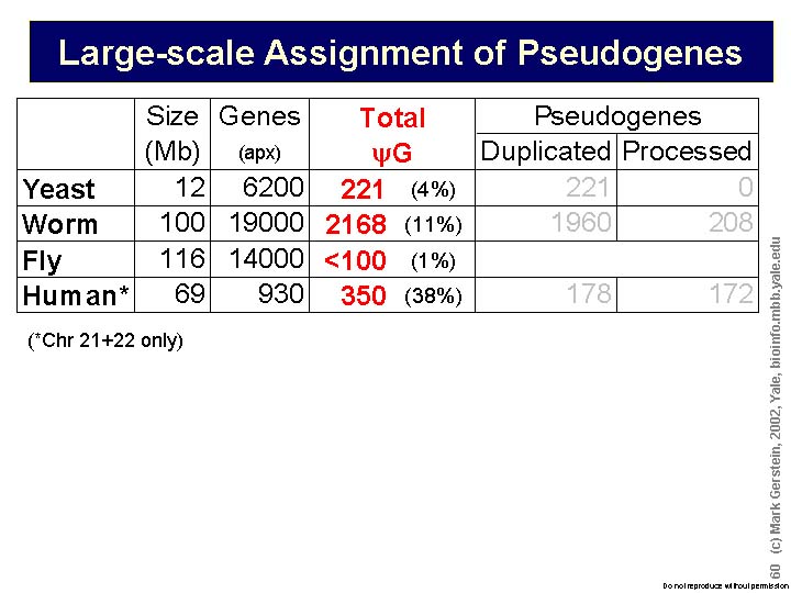 Slide60