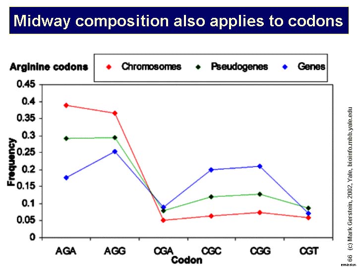 Slide66