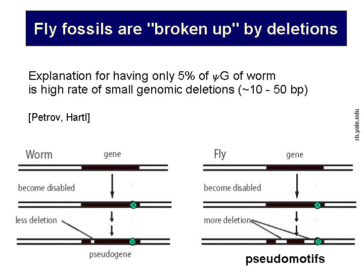 Slide78