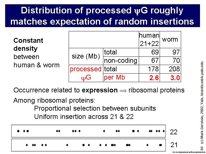 Slide84