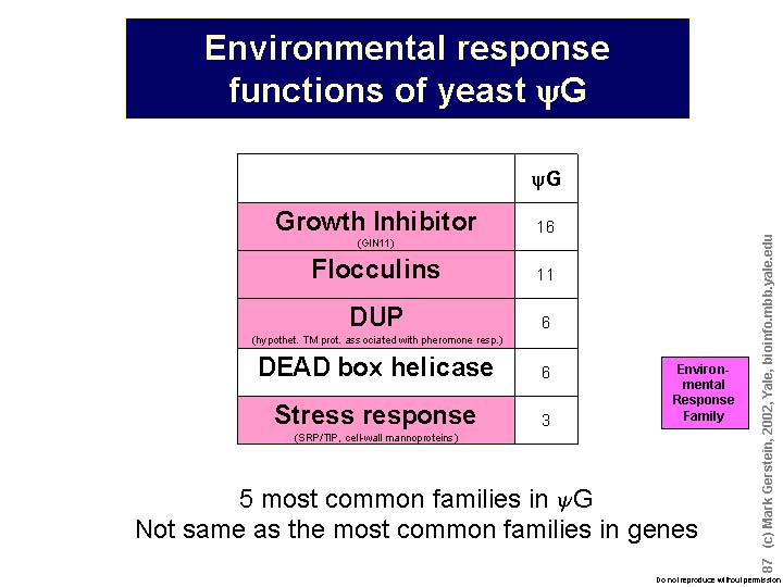 Slide87